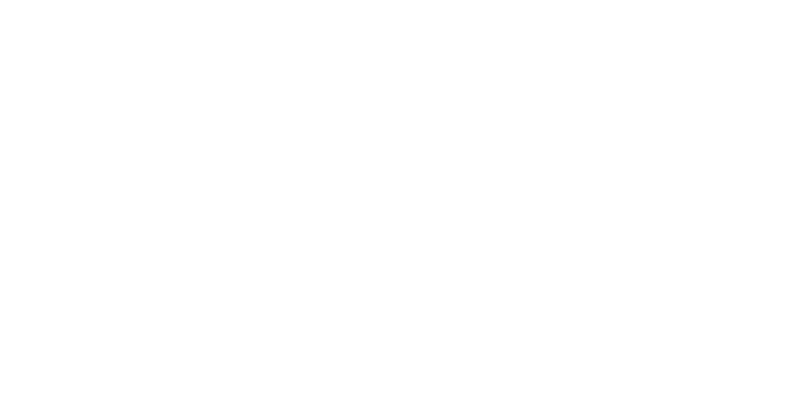 bsa Logo BSA Paris